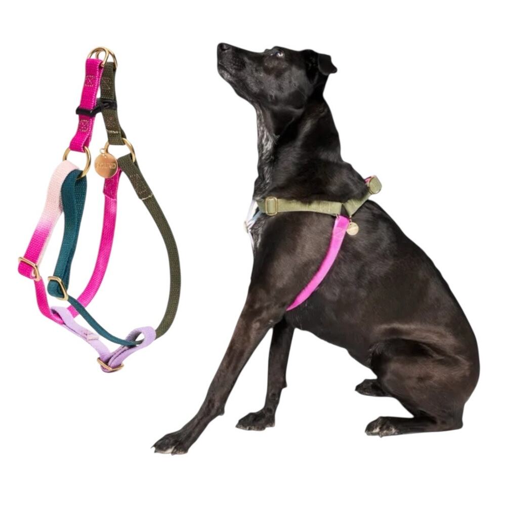 FOUND MY ANIMAL Jolie Webbing Cotton Large Harness Dyed Adjustable Solid Brass